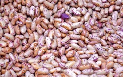 Foods To Add And Avoid To Boost Your Immune System