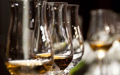 The Effect Of Alcohol On Your Immune System