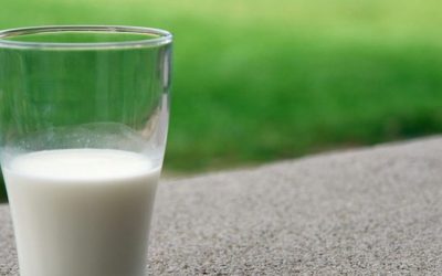 How Probiotics Help Improve Your Immune System