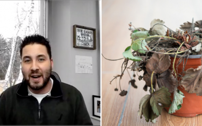 What is Functional Medicine?