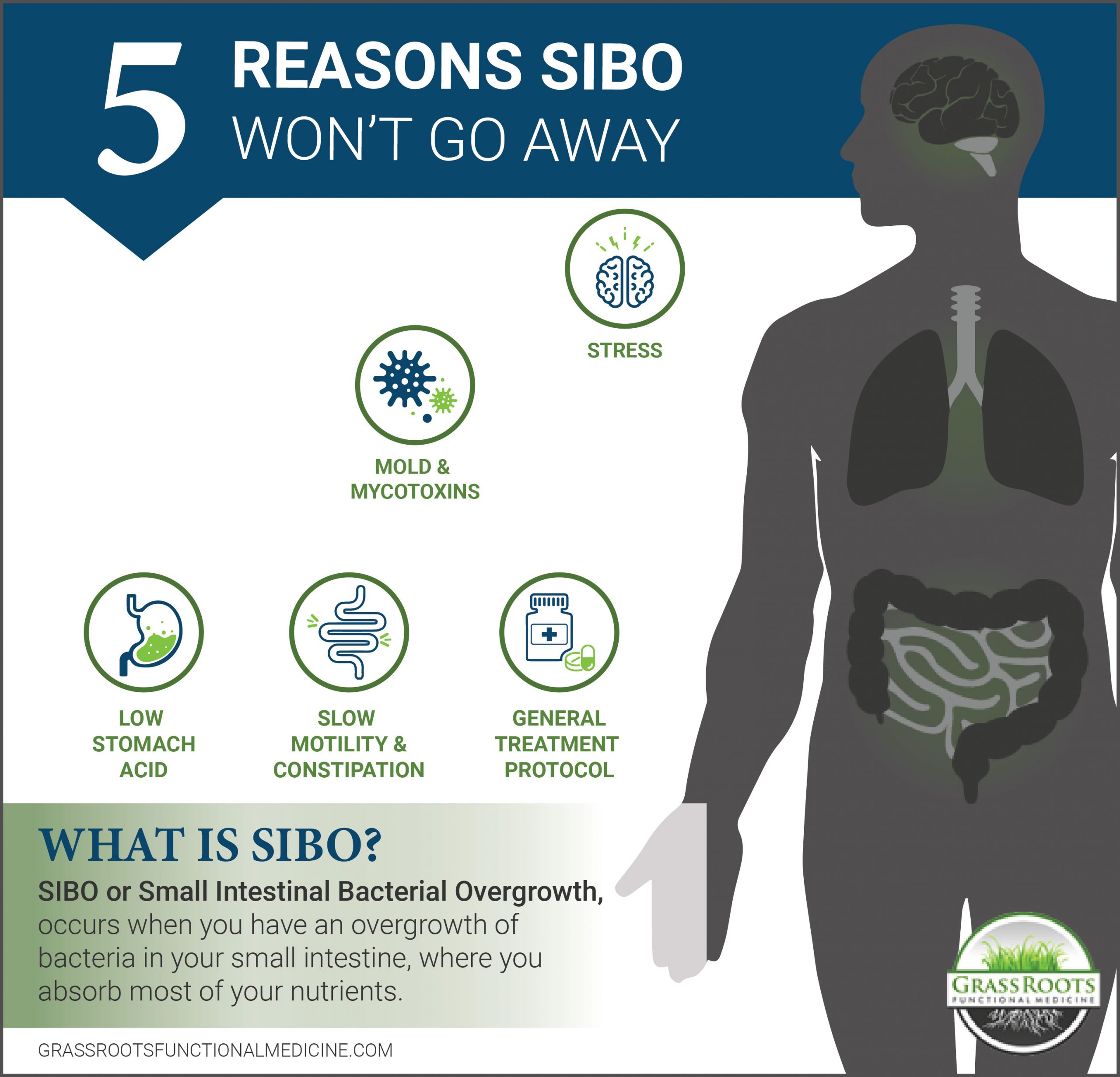 5 Reasons SIBO Won't Go Away