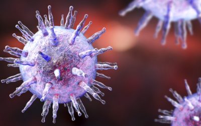 The Link Between EBV and Autoimmune Disease
