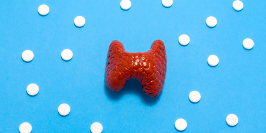 Busting 5 Myths About Natural Desiccated Thyroid (NDT) Medications