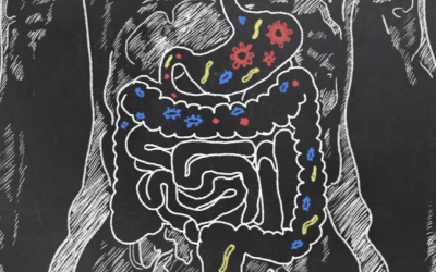 Why Gut Health is Even More Important than You Think