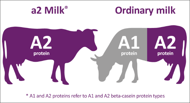 a2 Milk dairy protein composition