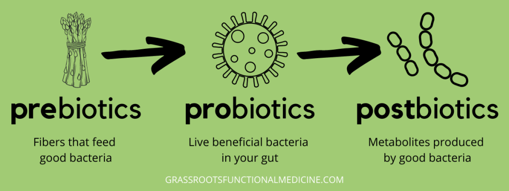 Prebiotics, probiotics, postbiotics