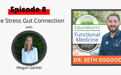 Ep 8: The Stress Gut Connection with Meg Gerber, RD