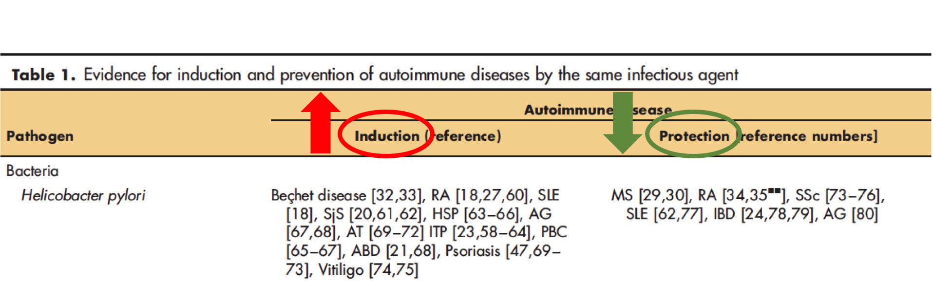 H. Pylori Induction and Protection for Autoimmune Disease