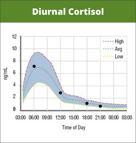 Normal Diurnal Cortisol Levels