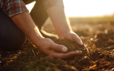Should You Switch to a Soil-Based Probiotic?