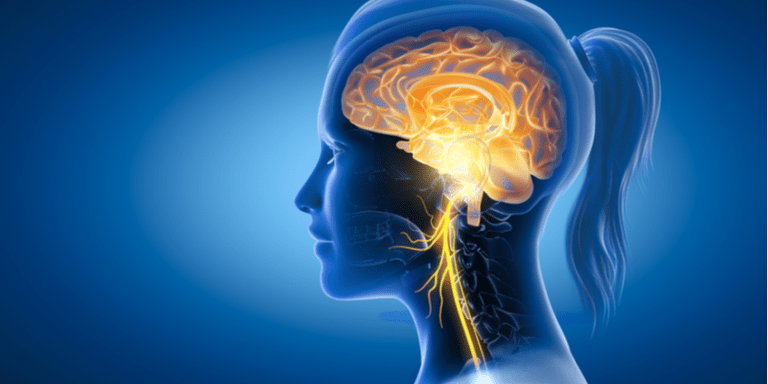 Vagus Nerve Stimulation: Why it Matters & How to Do It