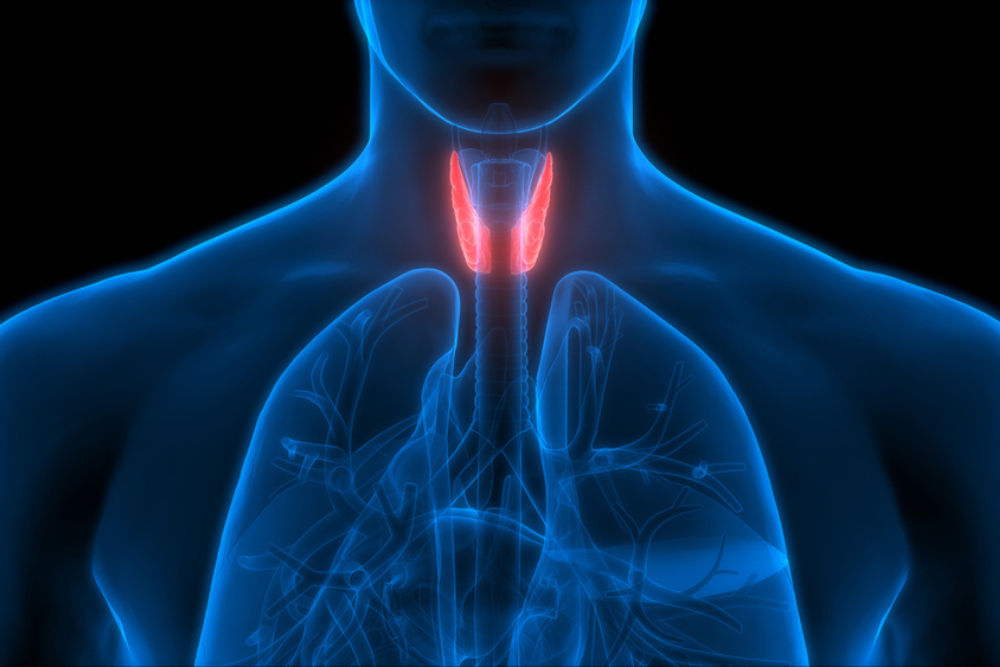 Thyroid Dysfunction: Is There Hope?