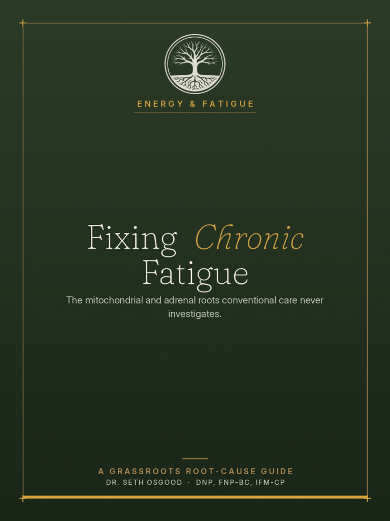 Fixing Chronic Fatigue
